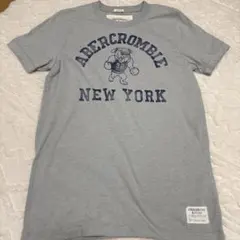 Abercrombie & Fitch グレー Tシャツ Mサイズ