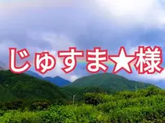 2026年最新】甲州百目柿の人気アイテム - メルカリ