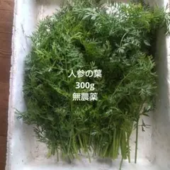 にんじんの葉っぱ 300g 千葉県産 無農薬 ペットおやつのサムネイル