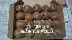 ２０、キウイフルーツ 完全農薬不使用