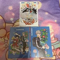 春風のエトランゼ ポストカード 3枚セット