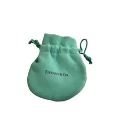 Tiffany & Co. 巾着袋 ポーチ　ティファニーアンドコーのサムネイル