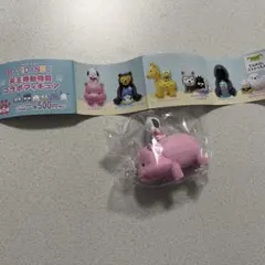 はぴだんぶい 天王寺動物園 コラボフィギュア　カバとポチャッコ　ガチャガチャ