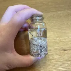 ハーバリウム ボトル 置物 海の砂 貝殻