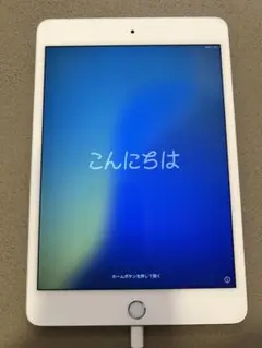 Apple iPad mini (第５世代) Wi-Fi + Cellular