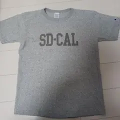 2026年最新】スタンダードカリフォルニア tシャツ グレーの人気 