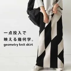 -SALE-●極美品●【antiqua】幾何学柄タイトニットスカート