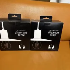 DAIKO フィラメントランプ 2個セット