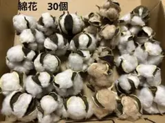 美品最終出品 コットンフラワー　綿花　洋綿　花材　30個　白 茶　リース