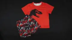 恐竜プリント Tシャツとショートパンツ セット