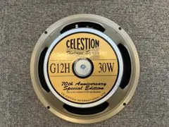 Celestion Vintage 30 ギター用 12インチ 16Ω 2本 ① - メルカリ