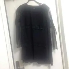 シースルーの袖ふわっと上着