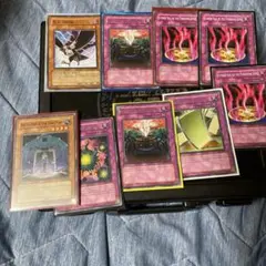 「Champion Pack 5 CP05 英語版 まとめ売り