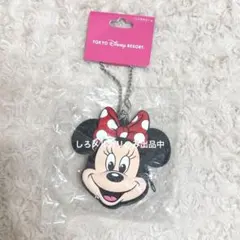 ミニー バッグチャーム ポーチ ディズニーストア ディズニーリゾート シリコン