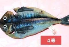 アジの開き ぬいぐるみ 【４等】C