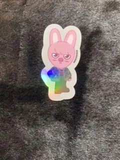 Stray Kidsランダムステッカー チャンビン