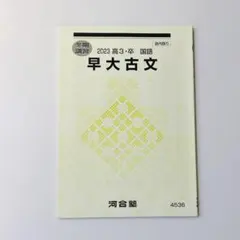 河合塾 夏期講習テキスト2022 早大英語 慶大英語 早大現代文 早大古文 河合塾 夏期講習テキスト2022 早大英語 慶大英語 早大現代文 早