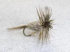 はらぺこあおむし様 リクエスト 3点 まとめ商品