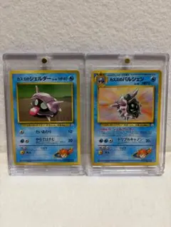 カスミのシェルダー ポケモンジム第1弾 ハナダシティジム カスミ