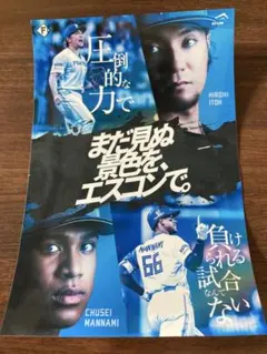 日本ハムファイターズ　伊藤大海　万波中正　エスコン　限定　ステッカー　日ハム