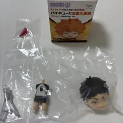 ハイキュー ねんどろいどさぷらいず 全国大会編 梟谷 赤葦京治