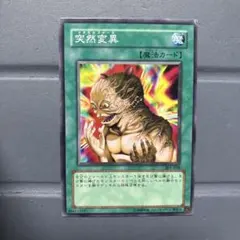 遊戯王　突然変異　メタモルフォーゼ