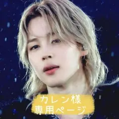 専用ページ