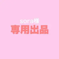 sora様 専用出品