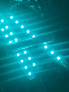 ゲンガー様専用