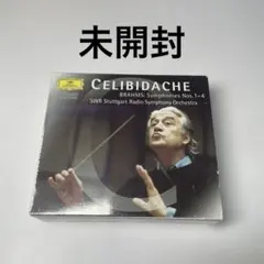 限定盤 ザ・ミュンヘン・イヤーズ チェリビダッケ CD 49枚組 BOX