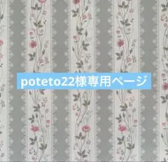 ✧︎*。poteto22様 専用ページ✧︎*。