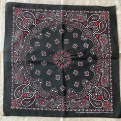 HAV-A-HANK ペイズリーバンダナ Black & Red
