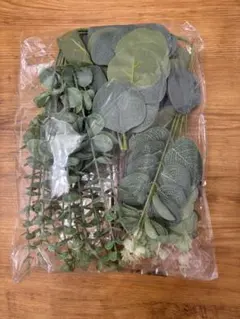 ユーカリの葉の茎 フェイクグリーンのサムネイル