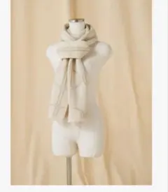 Item thumbnail for item ef419f82-3d5c-46f6-ac6c-b8db2a513f1a