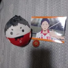 ハイキュー!! ふわコロりん 福永 音駒 校章 ピンバッジ ブロマイド