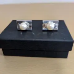 Item thumbnail for item 3fc63510-2c76-417c-a282-ee2fc48f56c3