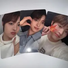 EJ ウィジュ &TEAM 十五夜 トレカ コンプ