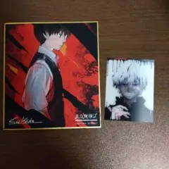 東京喰種レストラン 金木研 特典 限定 非売品 カード 東京喰種 アニメイト 特典 イラストカード 非売品 石田スイ