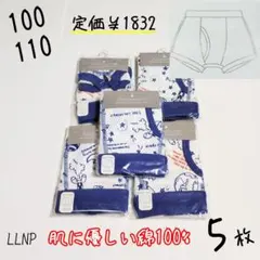 Item thumbnail for item a45de21b-a56a-4a6d-a839-518d49d0b79d