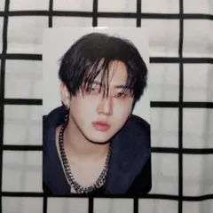 Straykids チャンビン トレカ×12枚