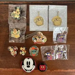 東京ディズニーランド 記念 ピンバッジ チャーム 缶バッジ 他セット