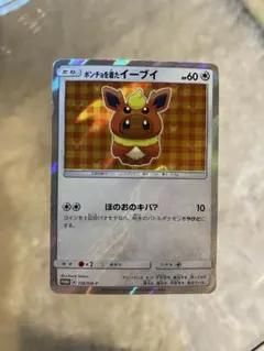 ポンチョを着たイーブイ（ブースター） PROMO SM-P 139