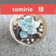 tomirio　様専用ページのサムネイル