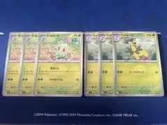 チコリータ ×3 ベイリーフ ×3