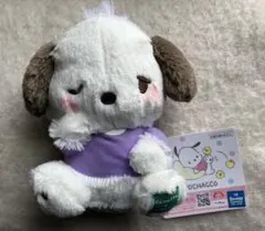 新品　ポチャッコ　かまってぬいぐるみ　サンリオ