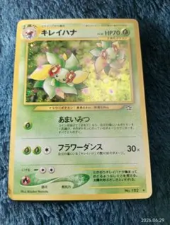 2026年最新】キレイハナ 旧裏の人気アイテム - メルカリ