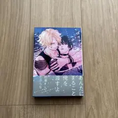 ディアローレライ ミナヅキアキラ