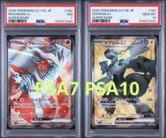 リザードン SR SSR PSA8 黒炎の支配者 シャイニー ポケモンカード