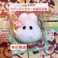メロジョイ　ゆきこ Mellojoy メロジョイ ミニランド ミニわんアイス ゆきこ - メルカリ