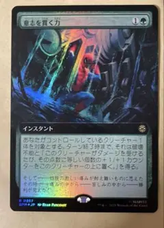 MTG スパイダーマン 意志を貫く力　日本語　foil
